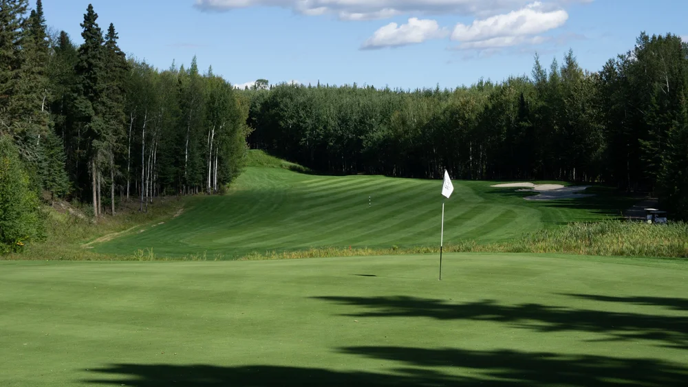 A golf course with a putting green in the foreground and a flag in the hole