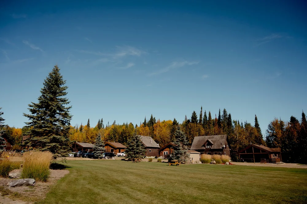A row of cabins set back from a wide green lawn at the forest edge
