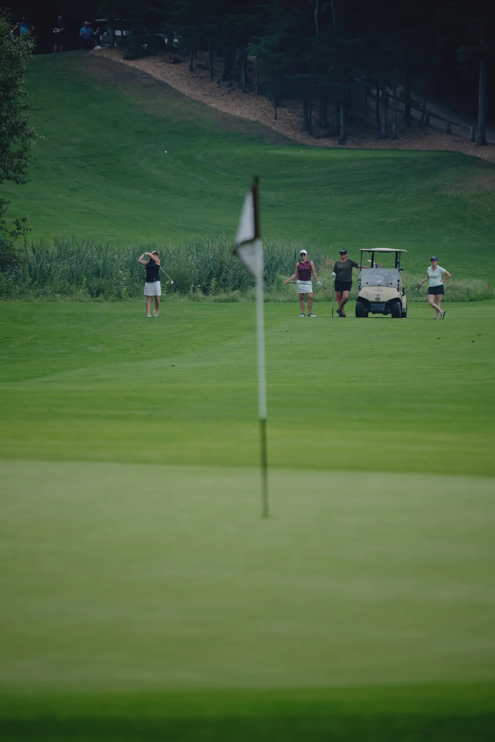 Golfers on the green during a tournament