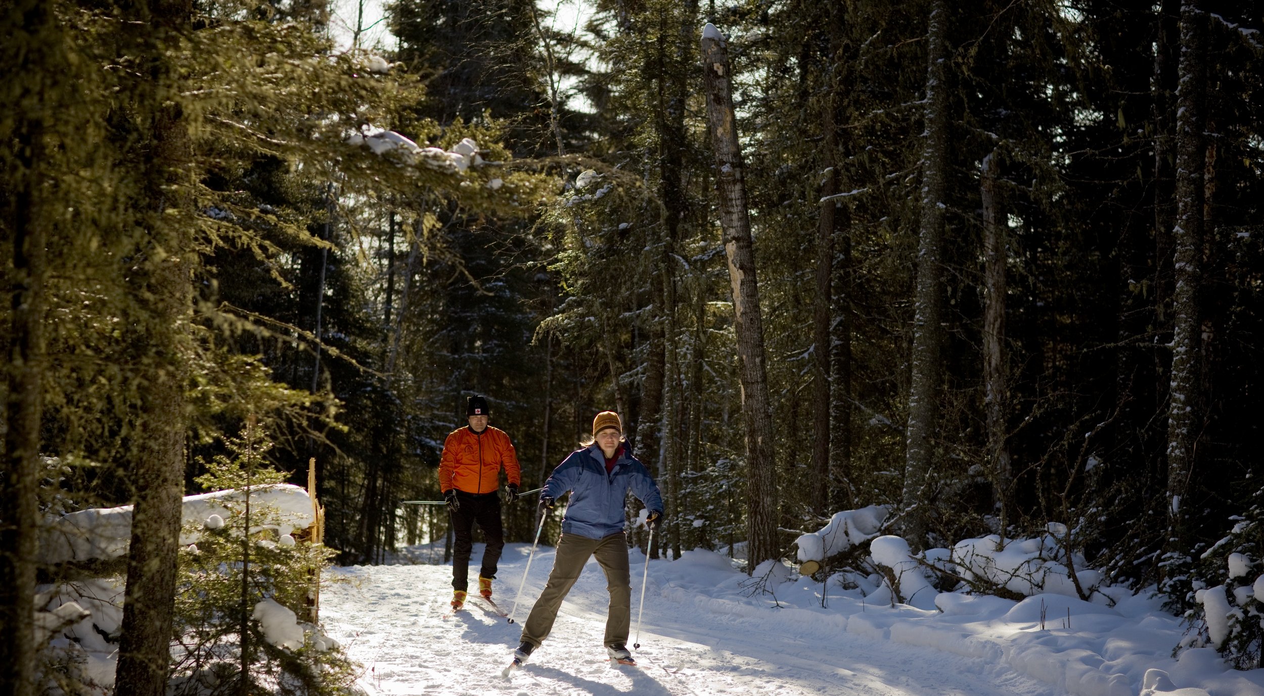 Cross-Country Skiing