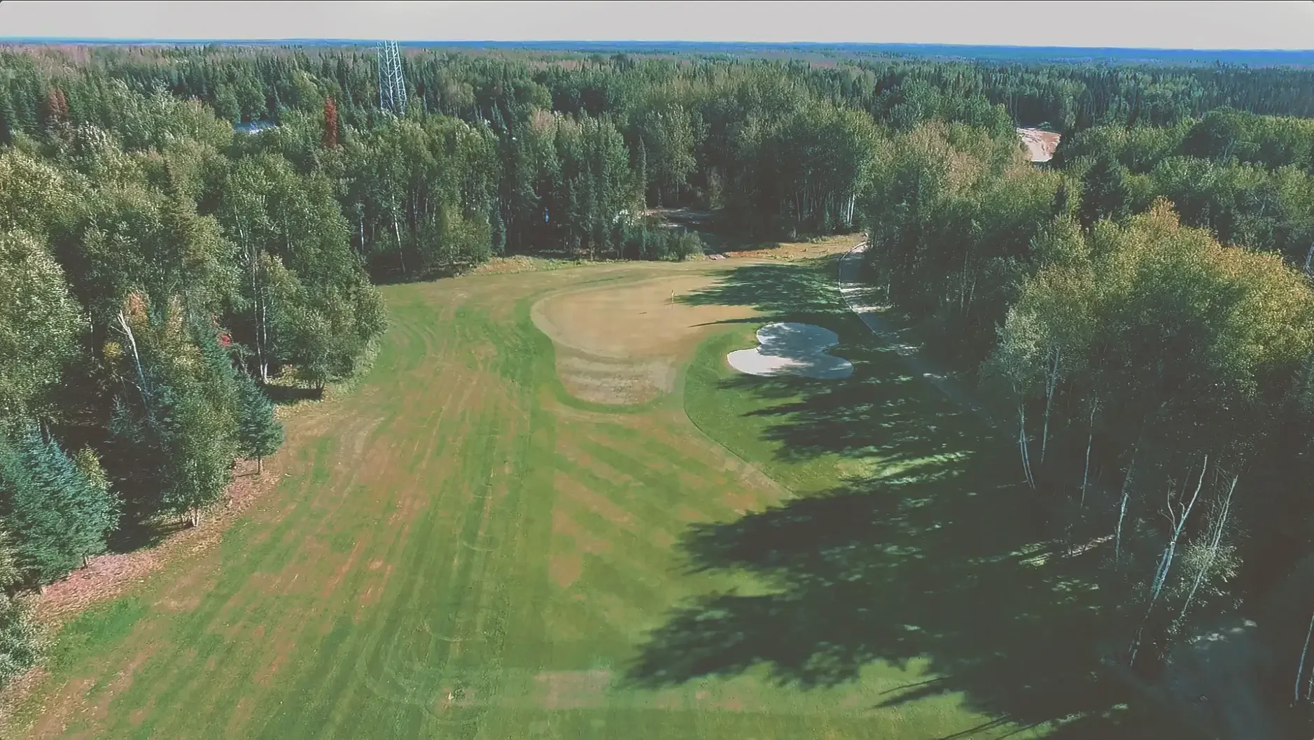 Aerial view of a golf course surrounded by dense green trees, with sand traps near the green, and a forest extending into the background.