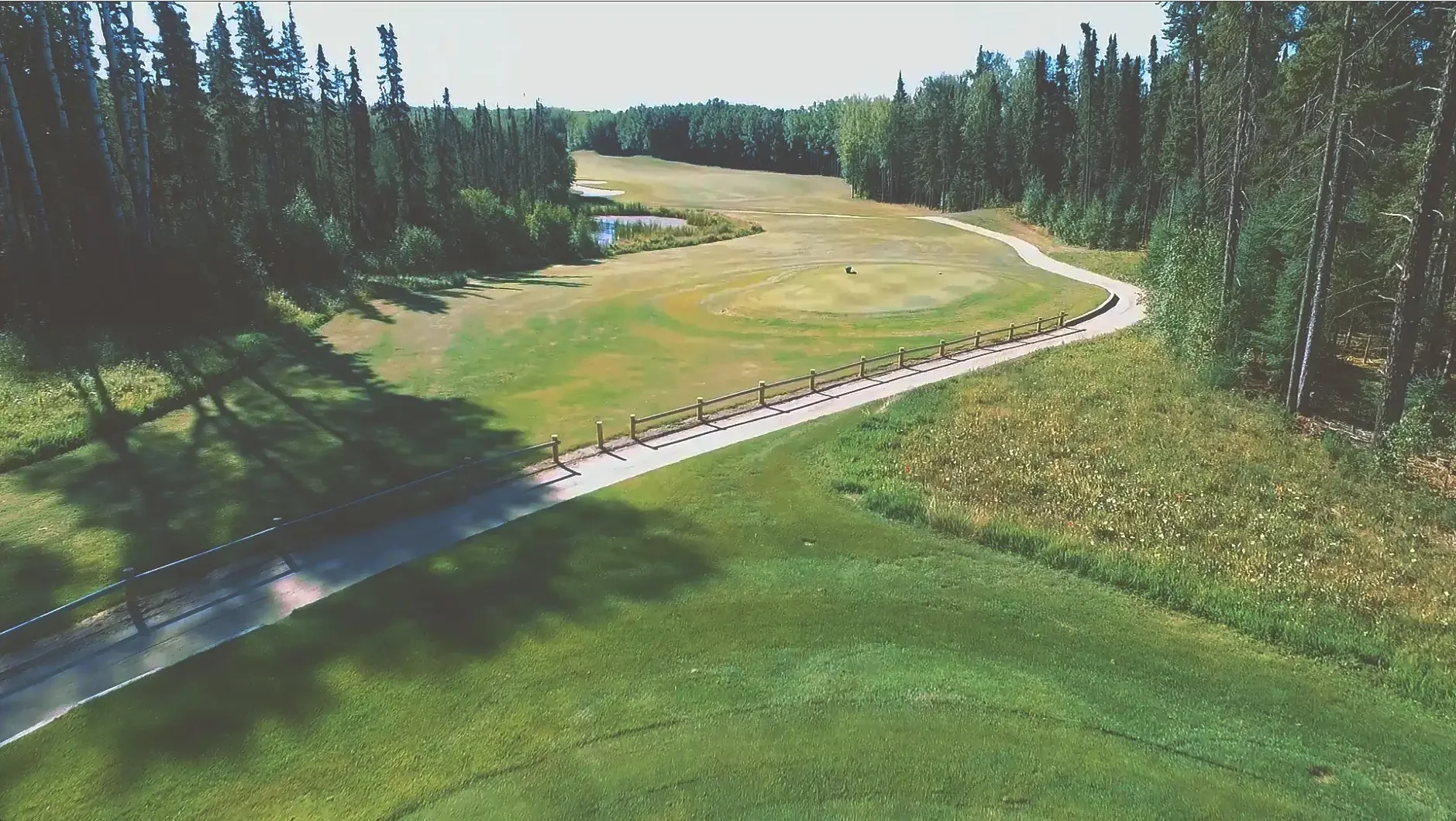 Aerial view of the third hole on the Aspen course at Elk Ridge Resort, with tree trouble around an elevated green.