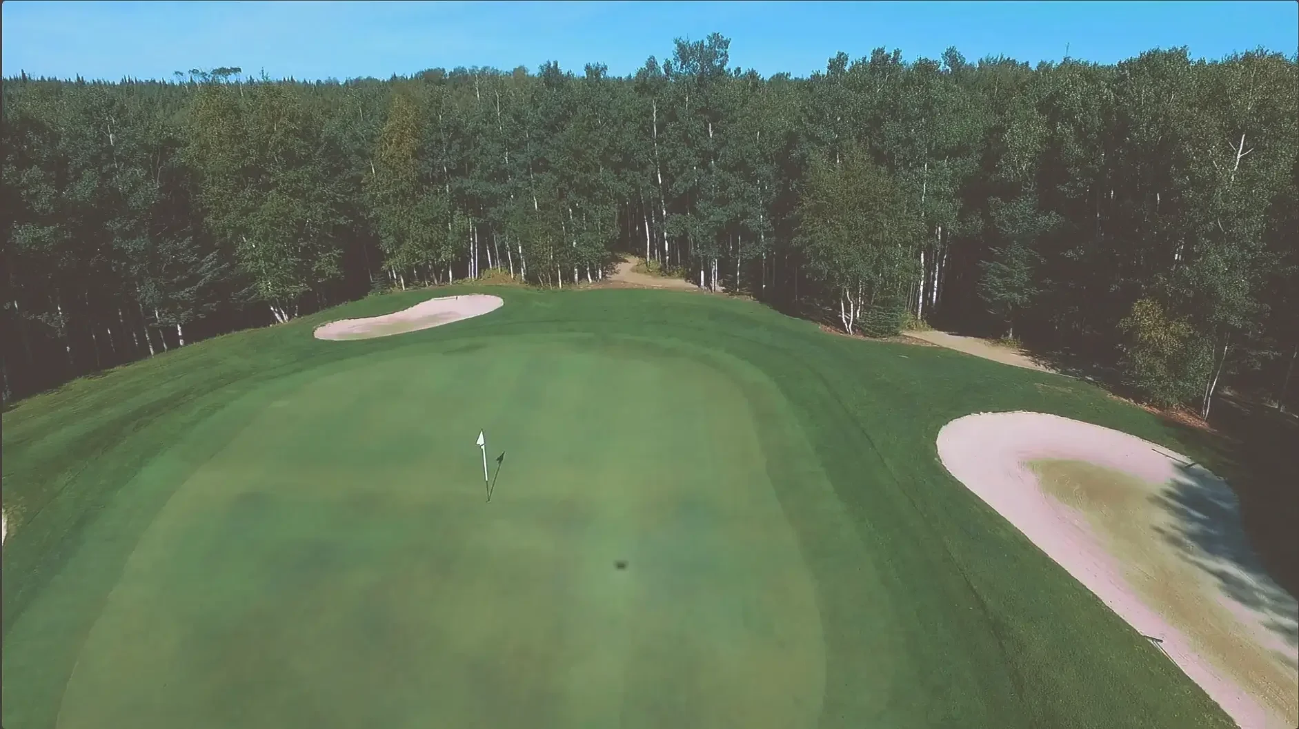 A golf course green with two sand bunkers, surrounded by trees and a clear blue sky.