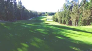 A green golf course fairway surrounded by trees under a clear sky.