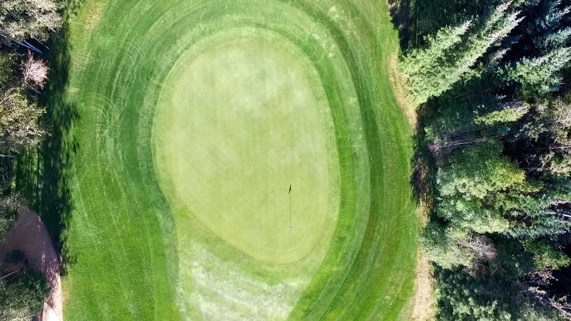Aerial view of a golf green surrounded by trees.