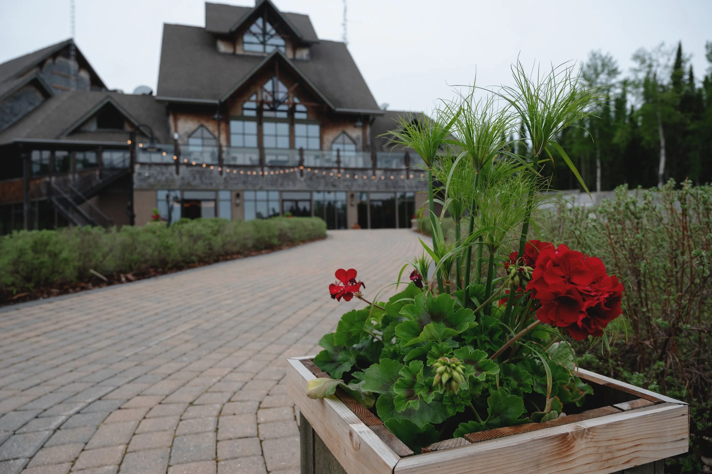 A wooden planter box filled with red and green seasonal planting