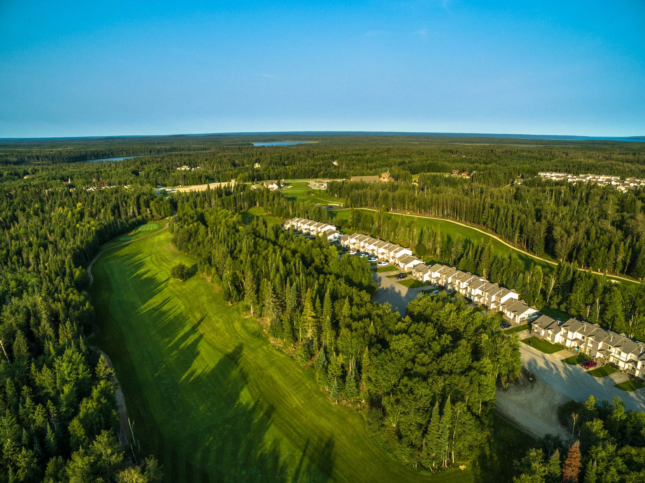 Aerial view of a residential area with houses, green fields, dense trees, and a lake in the distance under a clear blue sky.