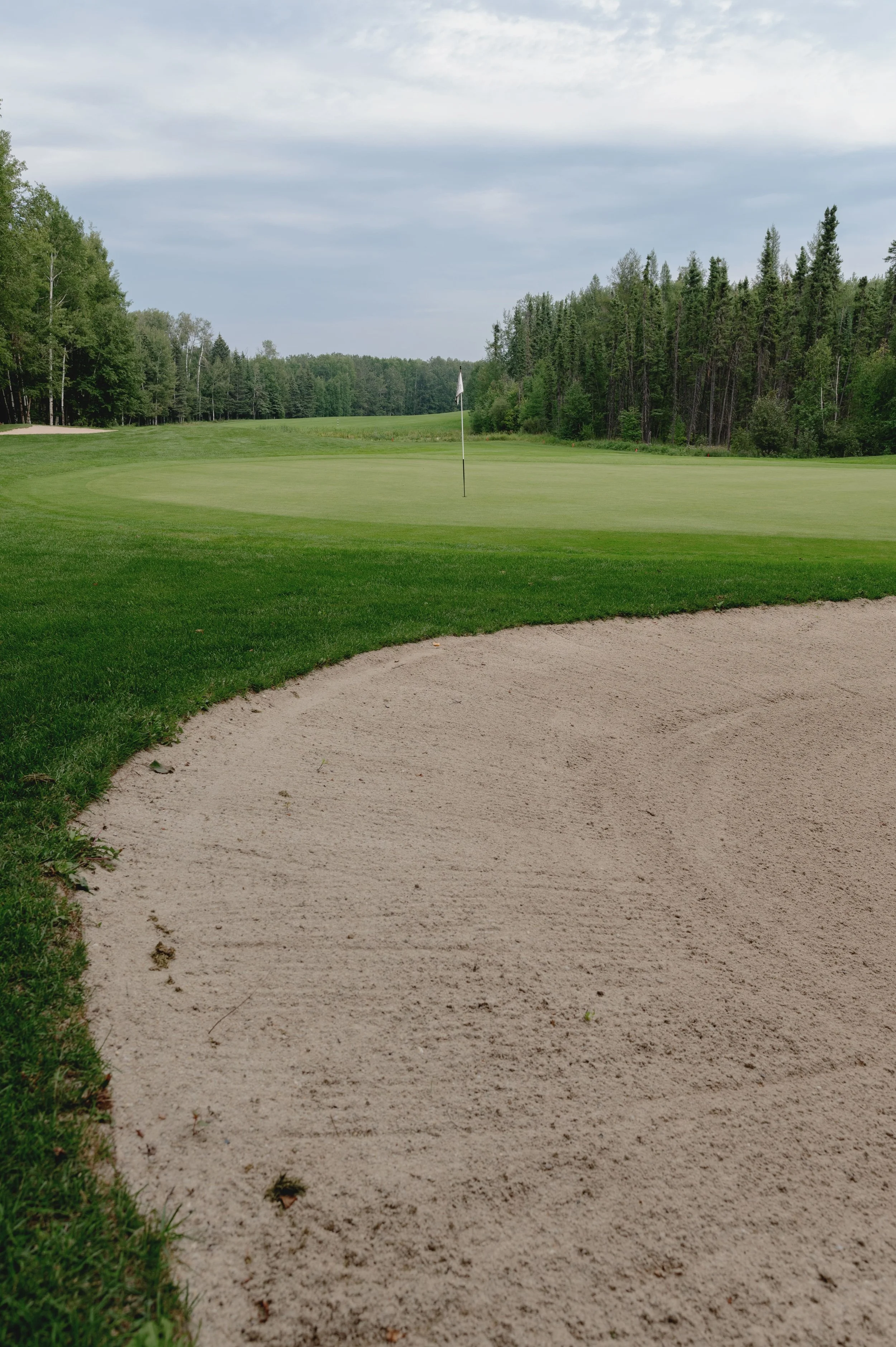 A green and bunker on the championship course backed by dense spruce