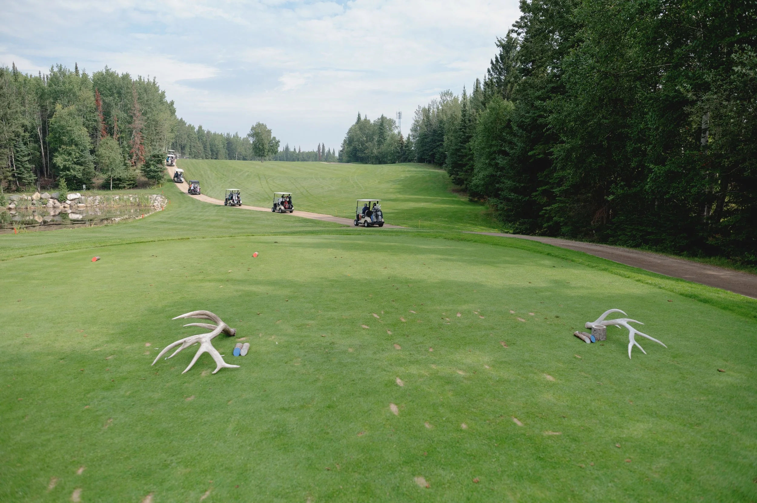 Golf course with four golf carts on the path, surrounded by tall trees and a small pond with rocks, and a pair of antlers in the foreground.