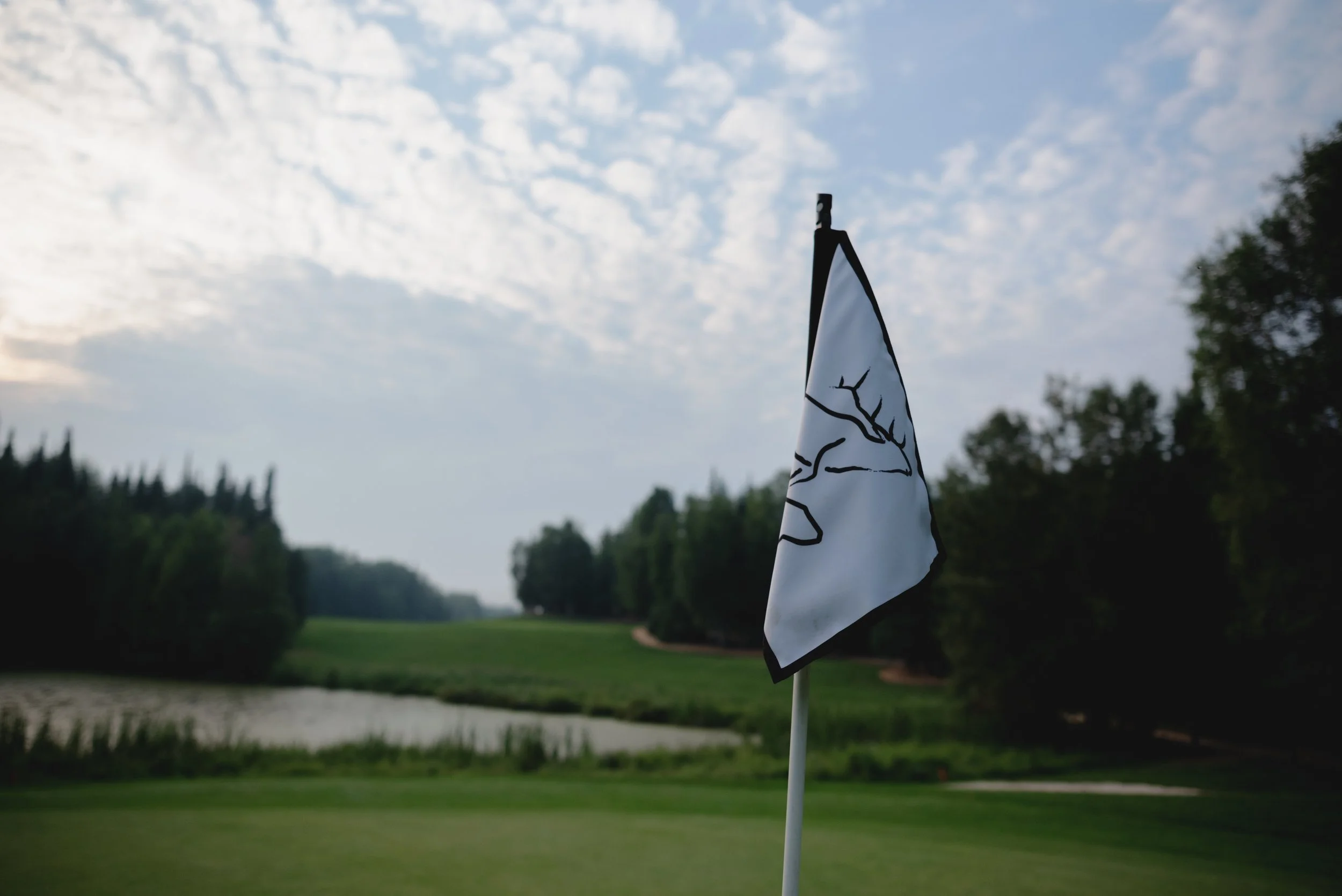 A golf course with a flagstick and a golf flag in the foreground, and a scenic background of trees and a cloudy sky.