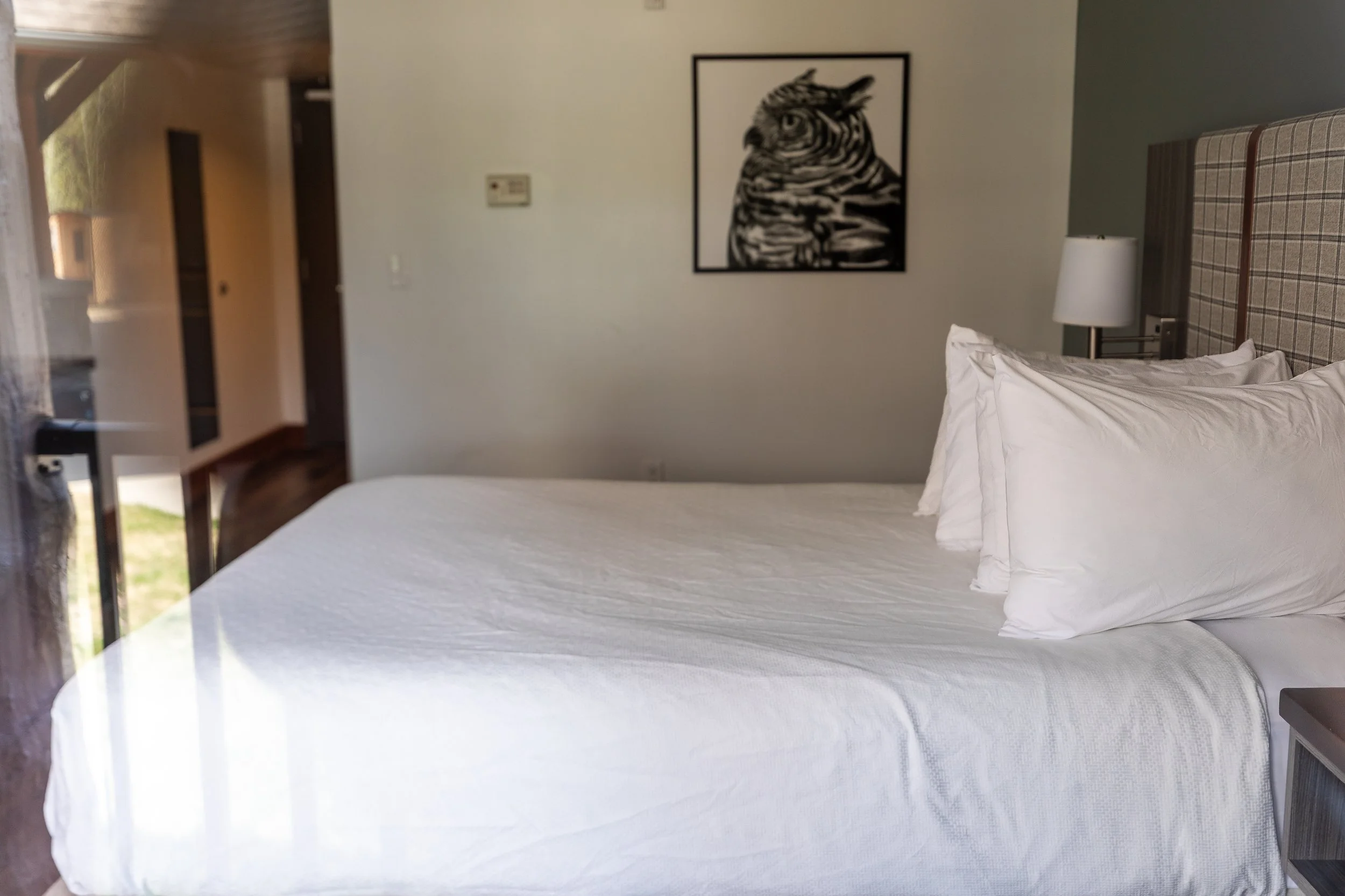 The Woodland Accessible Room — photo 9 of 13