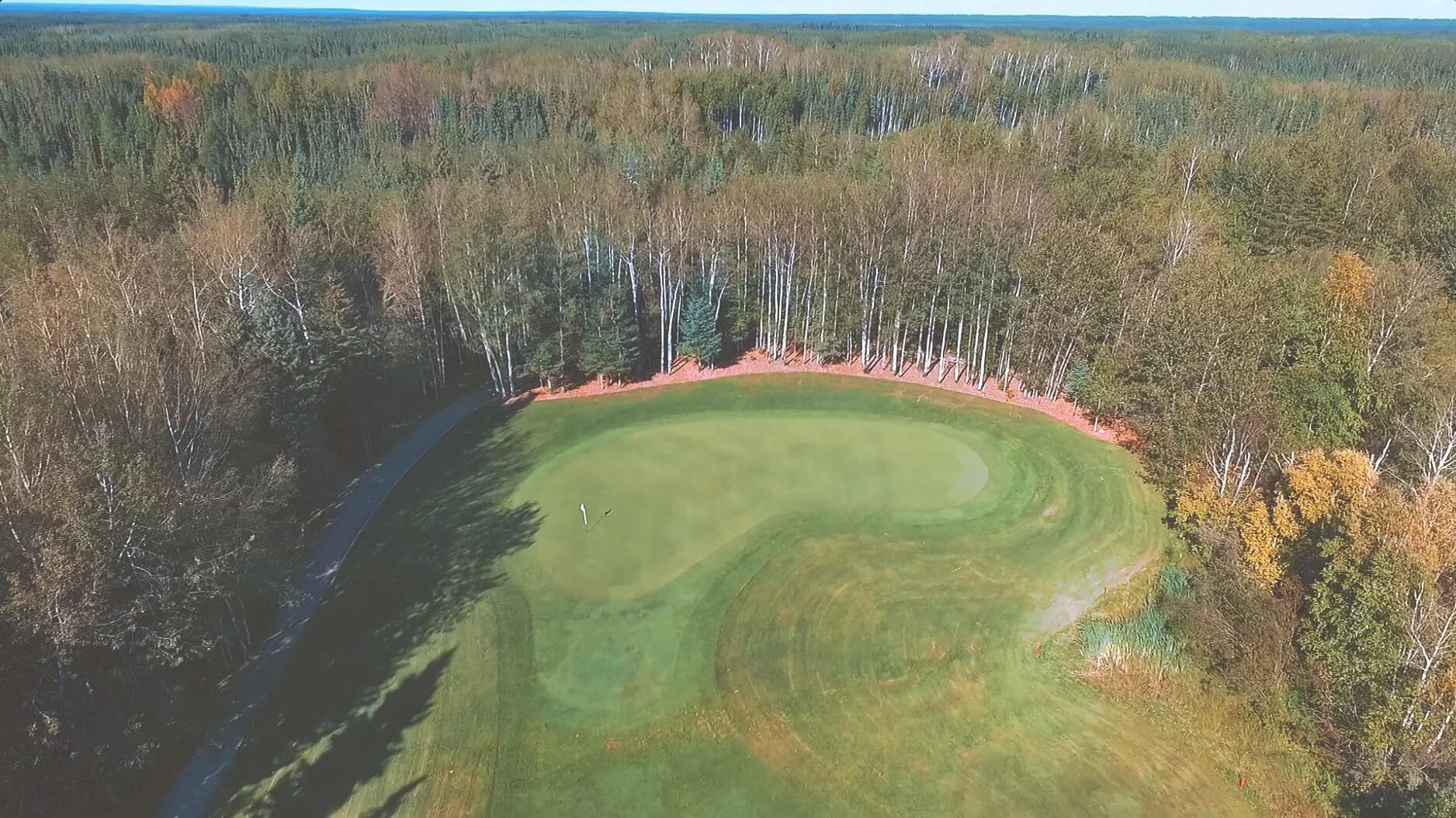 Aerial view of a golf course green surrounded by a forest with trees showing fall colors and a trail on one side.