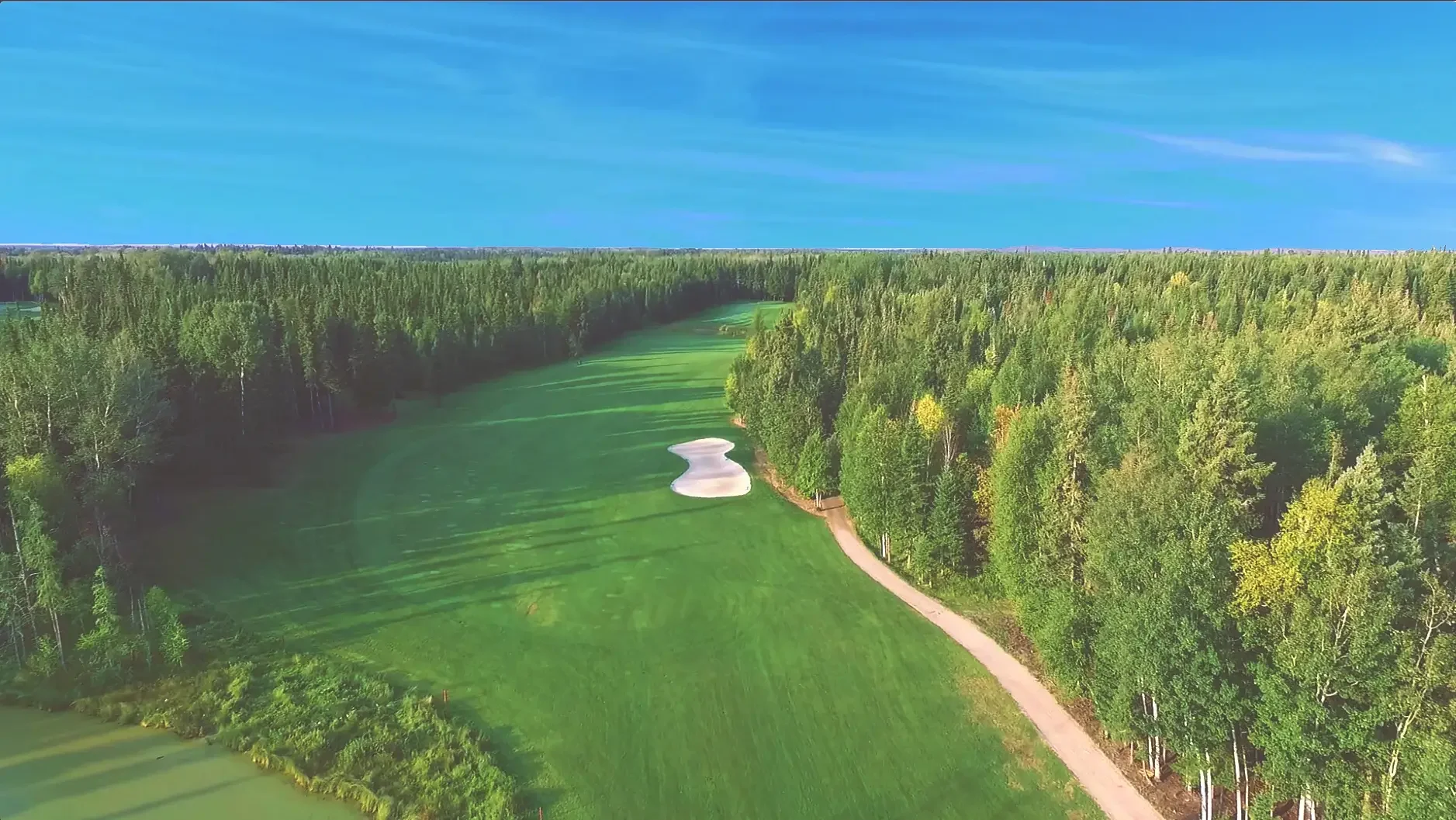 Aerial view of the eighth hole on the Tamarack course at Elk Ridge Resort, a green set among the trees.