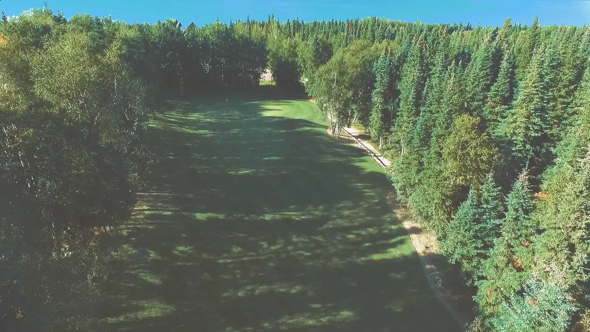 Aerial view of a lush, green park with trees lining the sides and a grassy field in the center, under a clear blue sky.