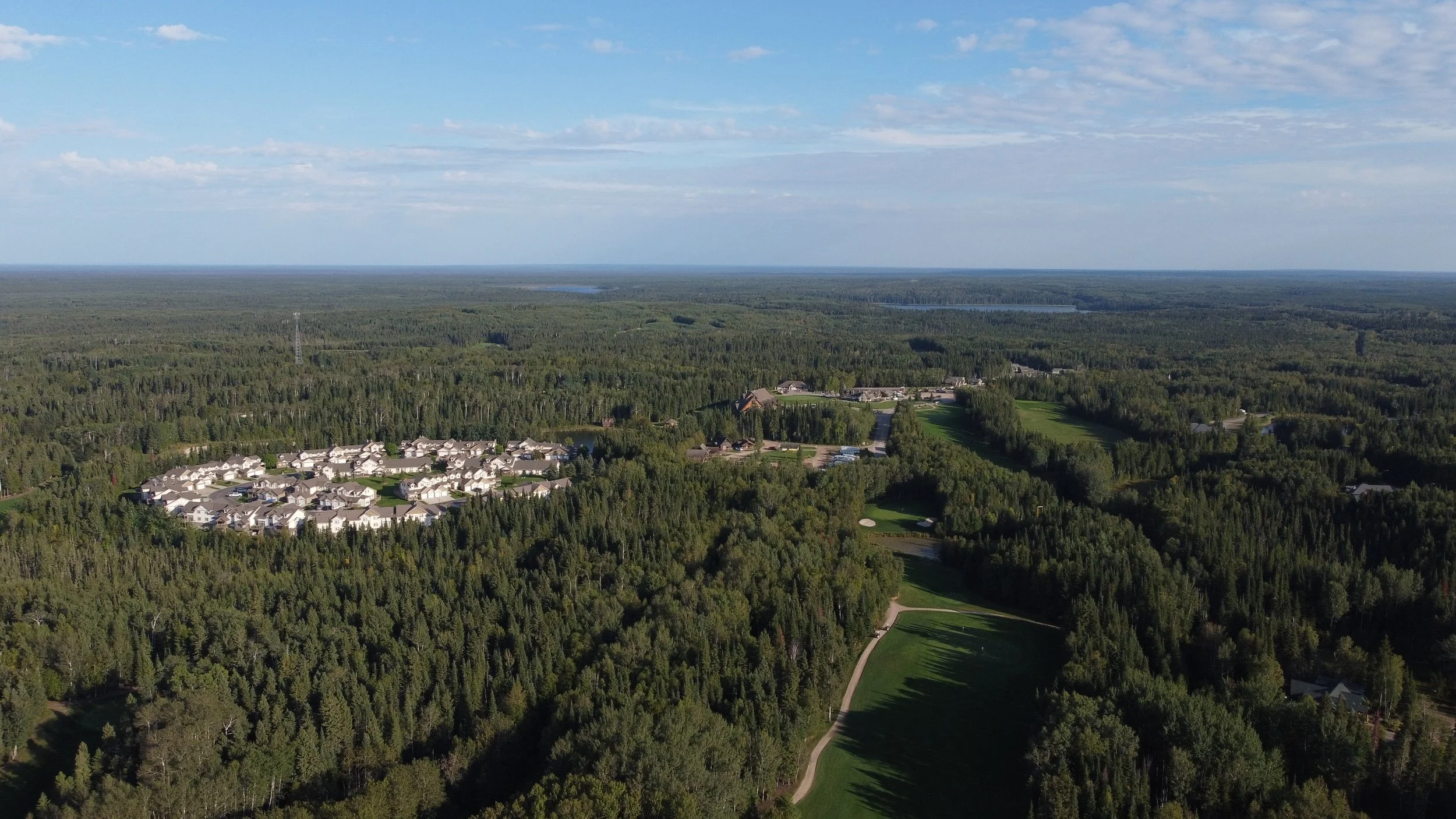 Aerial view of a suburban neighborhood surrounded by dense forest and a golf course, with a water body in the distance and a partly cloudy sky.