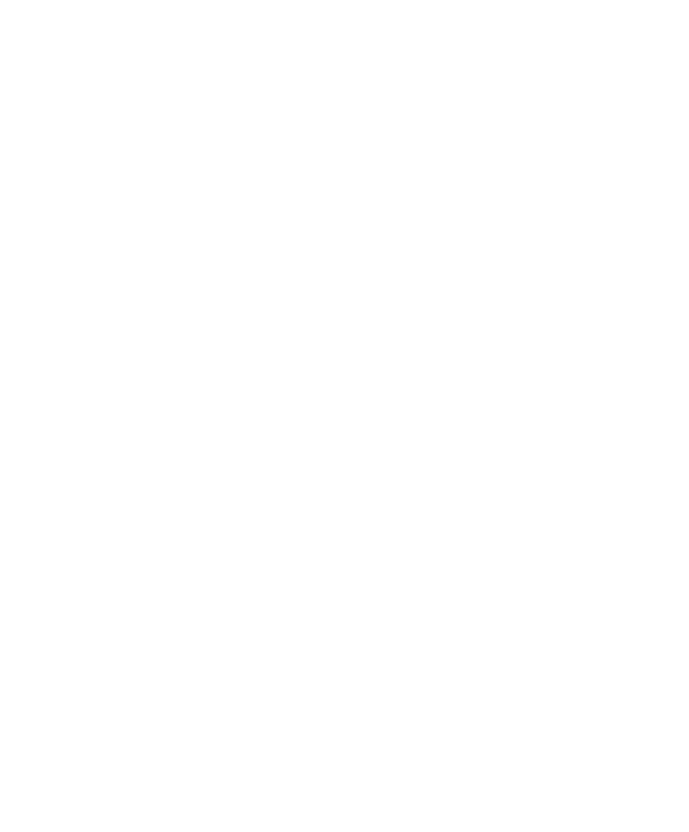 Twigs Ice Cream