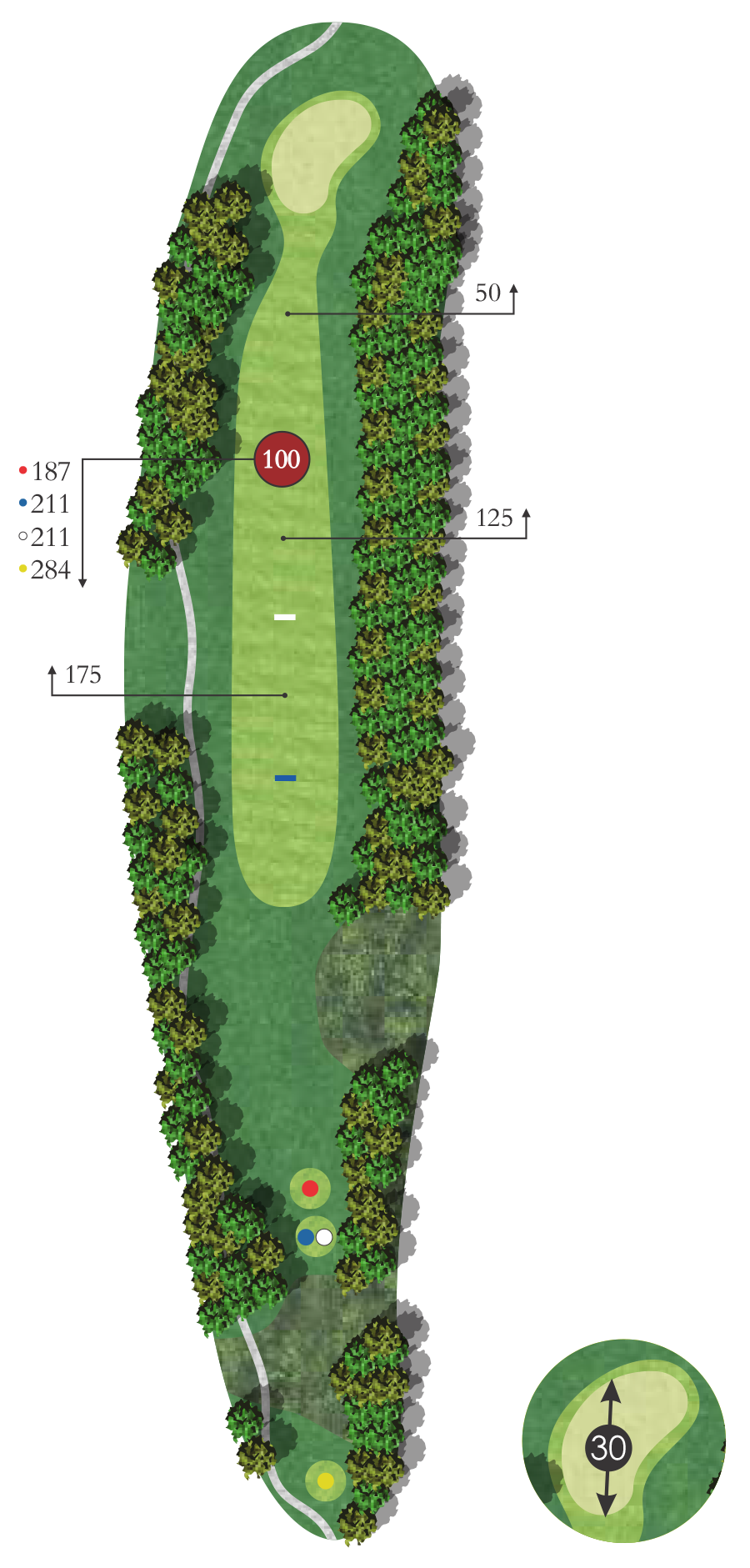 Flyover diagram of birch hole 9