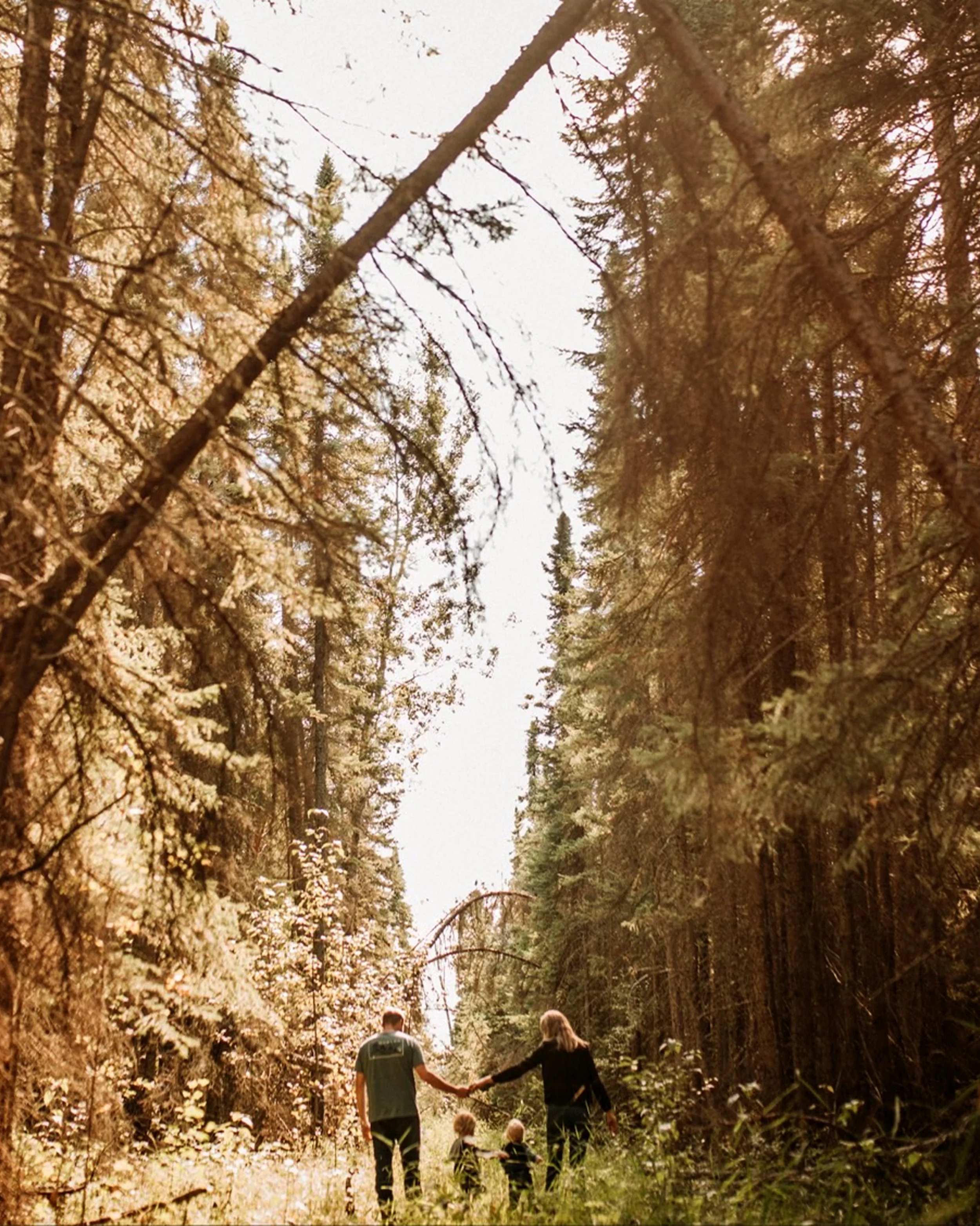 Hearth & Gather Accommodation Special at Elk Ridge Resort