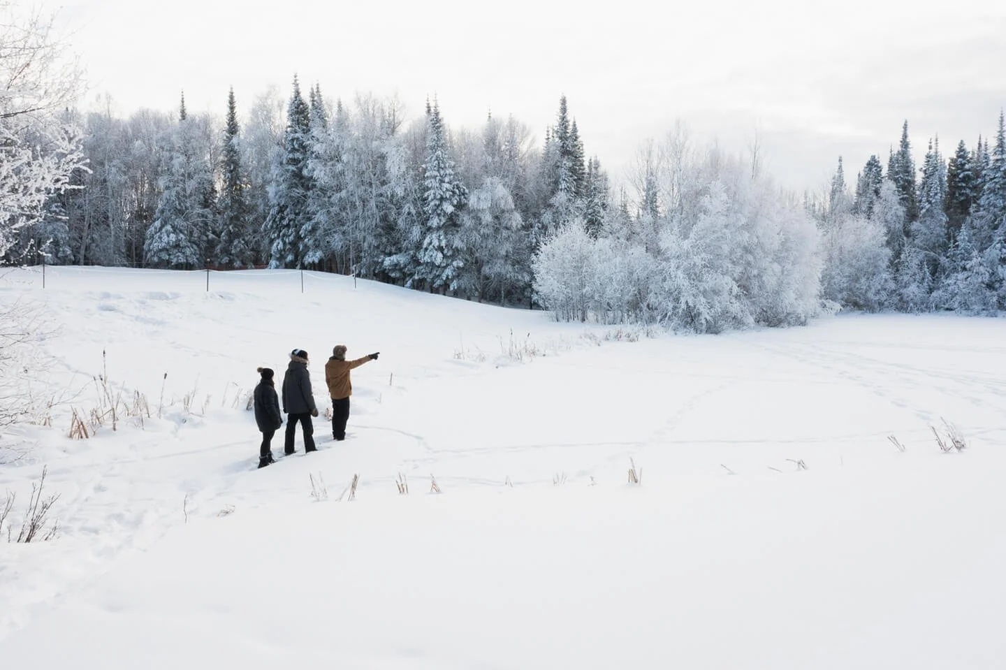 Snowshoeing