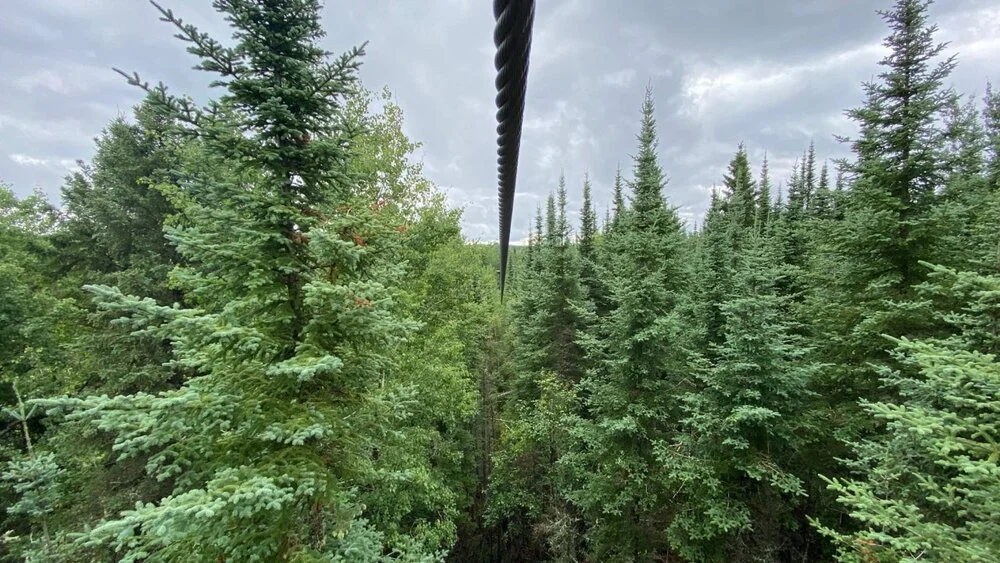 Treeosix Adventure Park