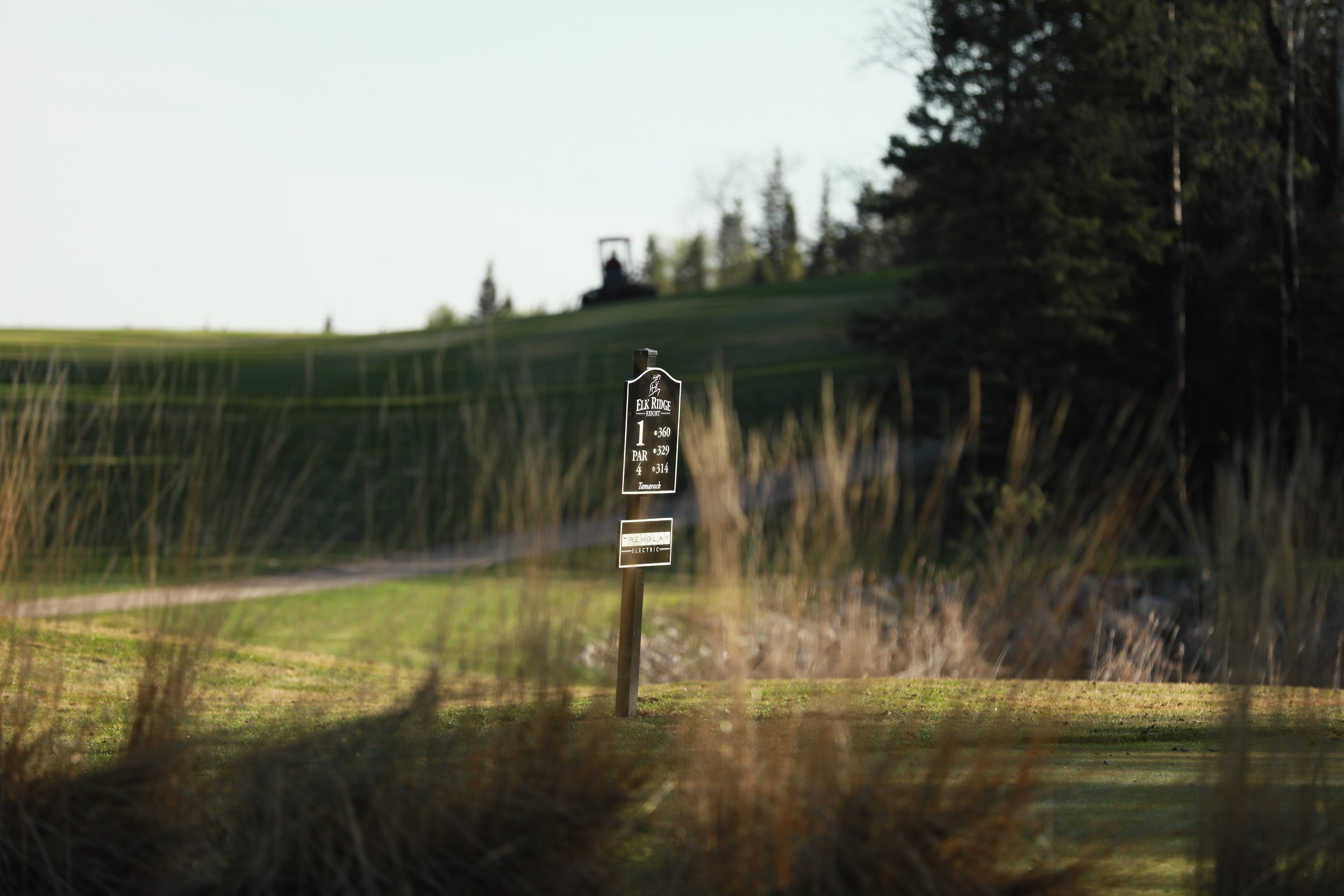 Golfers on a spruce-lined fairway at Elk Ridge Resort