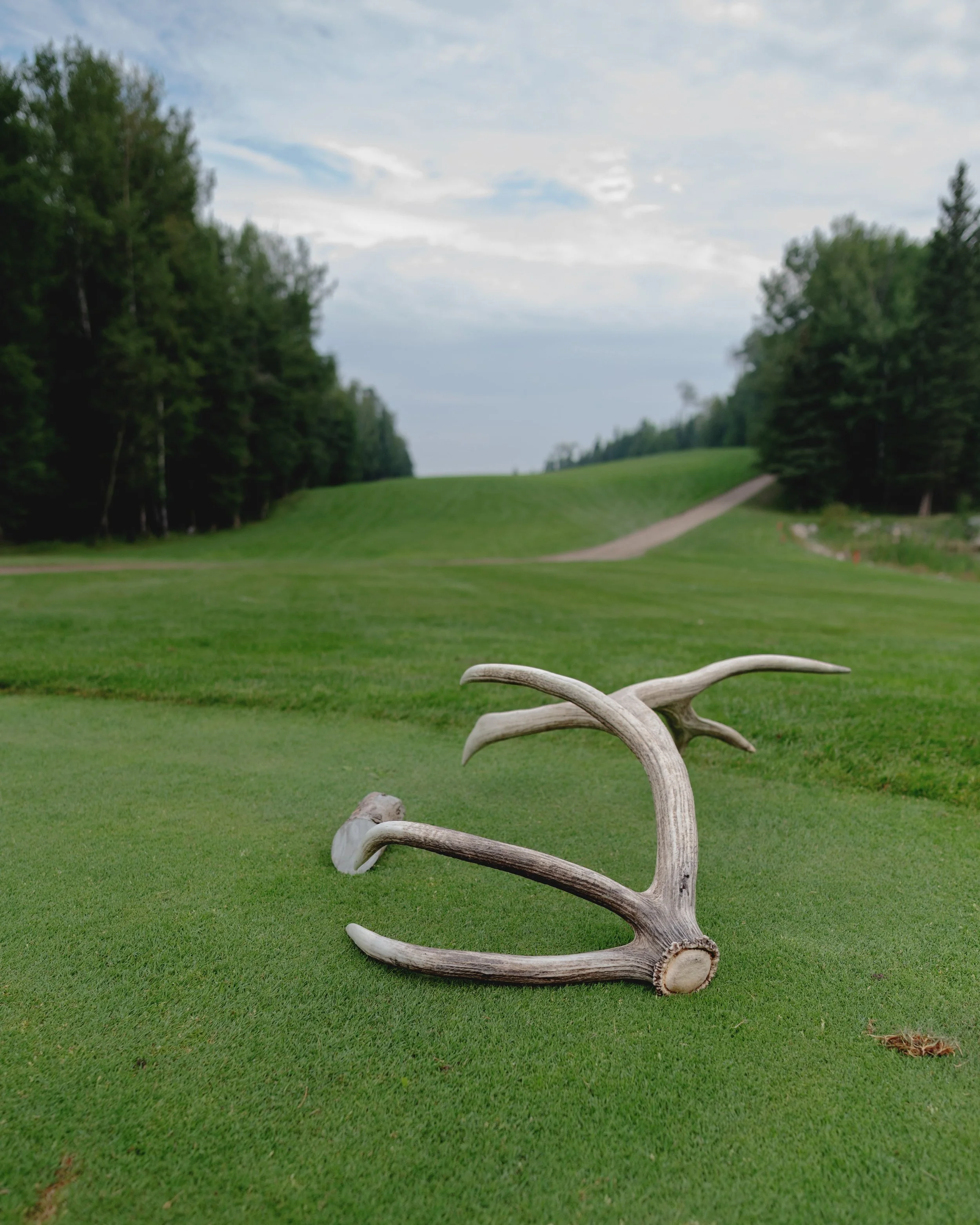 A group golf event at Elk Ridge Resort