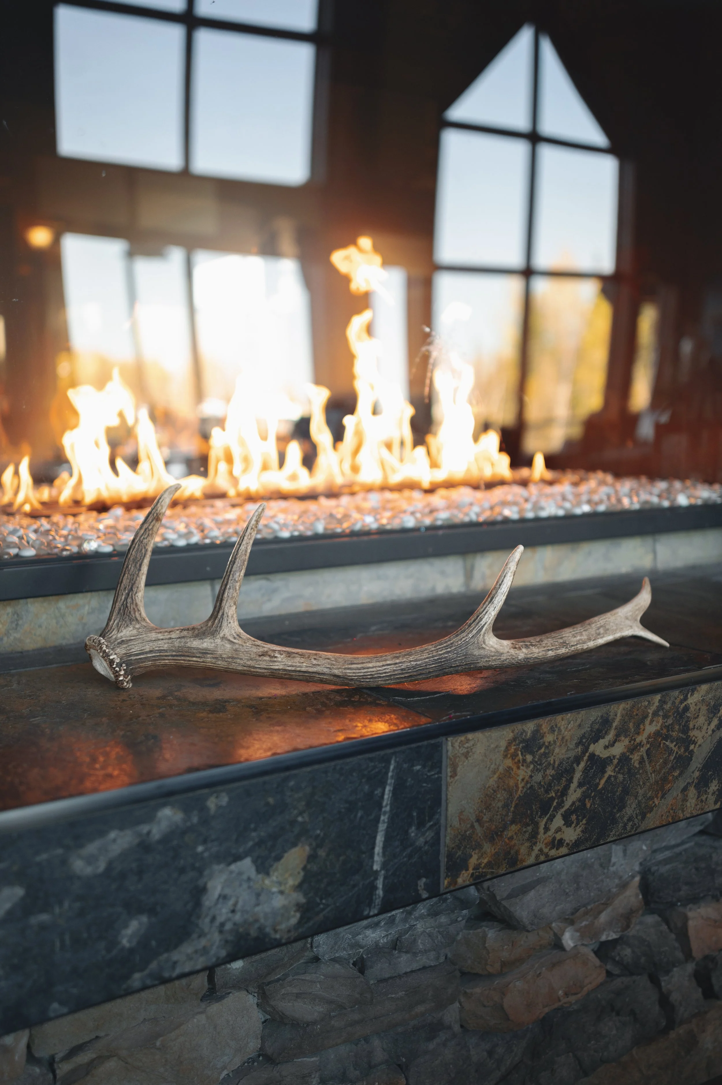 An antler resting on the stone hearth beside the fireplace
