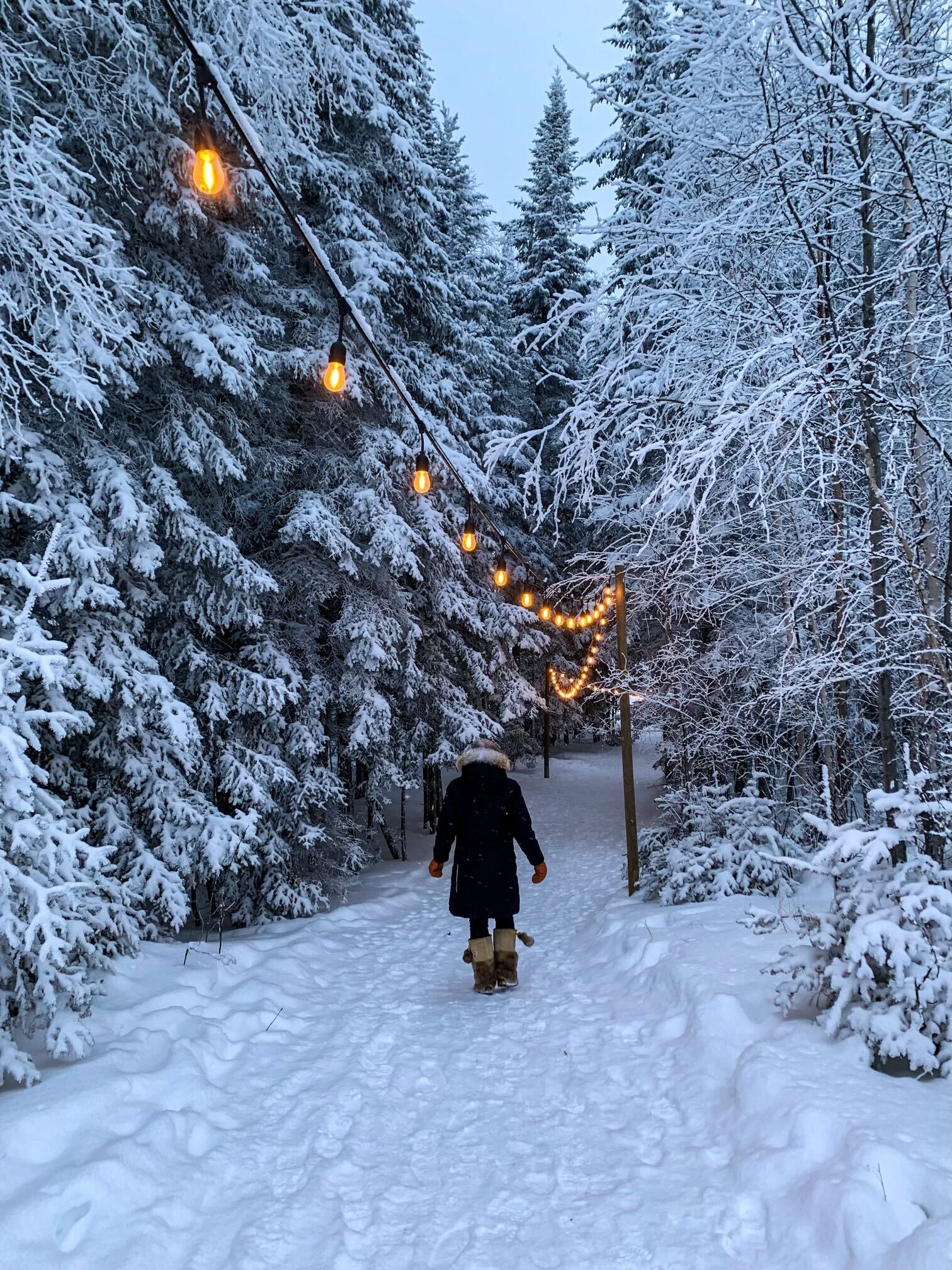 A person walking a snowy forest path at dusk under strings of warm bulb lights